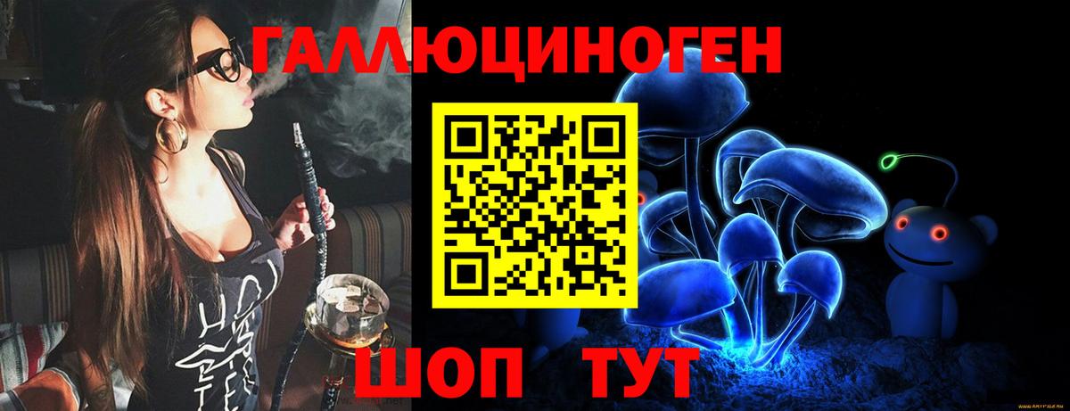 Галлюциногенные грибы Psilocybine cubensis Шебекино